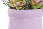 DKD Home Decor Planta PE EVA 17,5x14x20 Surtido de 2 Colores