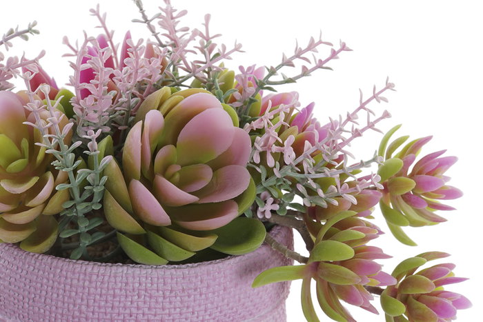 DKD Home Decor Planta PE EVA 17,5x14x20 Surtido de 2 Colores DKD Home Decor Planta PE EVA 17,5x14x20 Surtido de 2 Colores