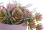 DKD Home Decor Planta PE EVA 17,5x14x20 Surtido de 2 Colores