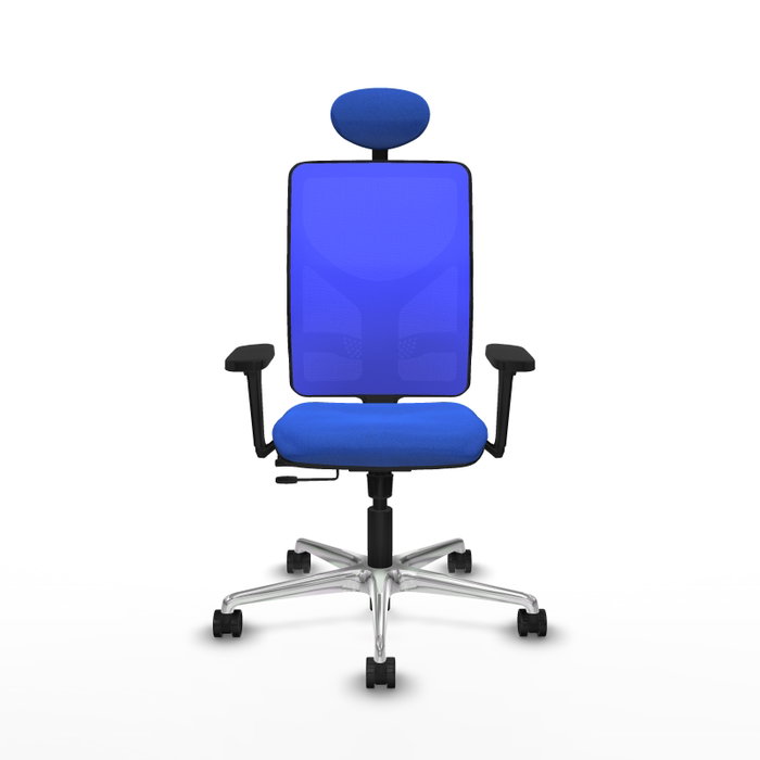 PIQUERAS Y CRESPO Silla de oficina Motilla con mecanismo Sincro/Traslack Azul PIQUERAS Y CRESPO Silla de oficina Motilla con mecanismo Sincro/Traslack Azul