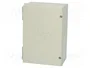 FIBOX NEO Carcasa de pared de policarbonato gris