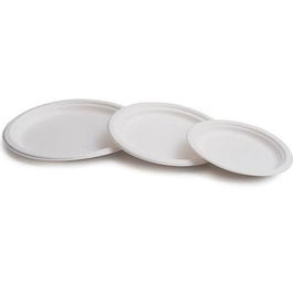 Plato Caña De Azúcar Biodegradable Blanco 22.5 cm Pack 50 Unidades