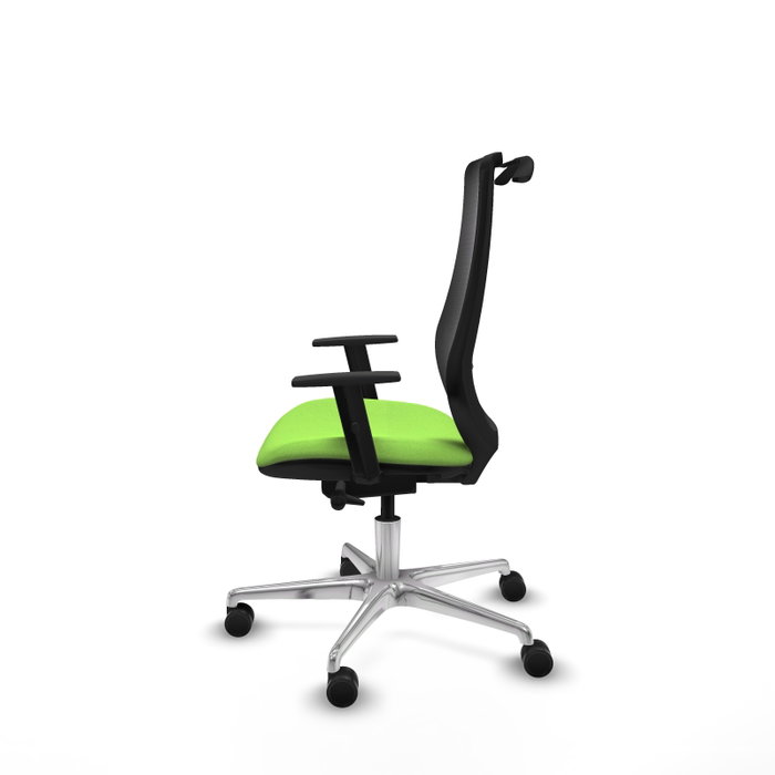 PIQUERAS Y CRESPO Silla de oficina Mardos con mecanismo Sincro/Traslack, Pistacho y Negro PIQUERAS Y CRESPO Silla de oficina Mardos con mecanismo Sincro/Traslack, Pistacho y Negro
