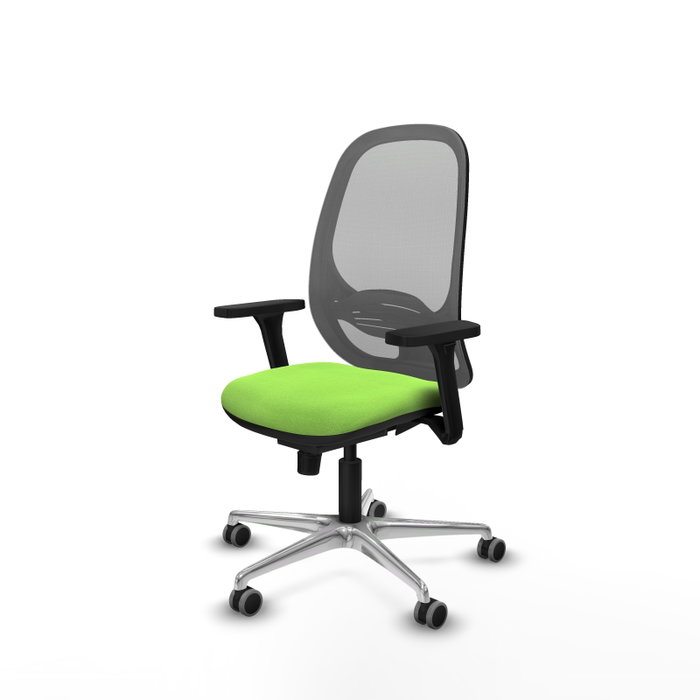 PIQUERAS Y CRESPO Silla de oficina Cilanco con mecanismo Sincro, Pistacho y Gris PIQUERAS Y CRESPO Silla de oficina Cilanco con mecanismo Sincro, Pistacho y Gris