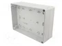 SPELSBERG TK PC 2518-8F-O Carcasa Universal de Policarbonato Gris