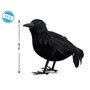 Cuervo Negro Decorativo de 16 cm con Plumas para Halloween y Escenografía