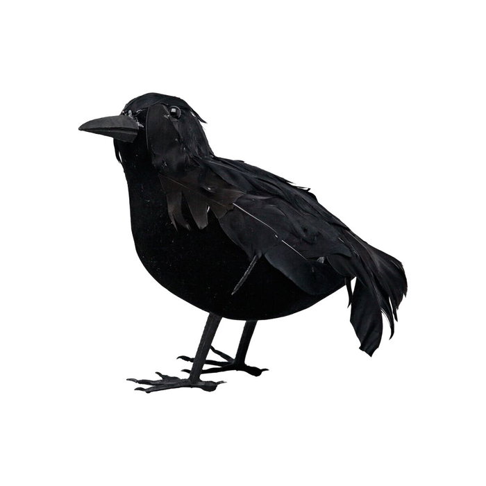 Cuervo Negro Decorativo de 16 cm con Plumas para Halloween y Escenografía