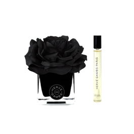 Gift Set Herve Gambs: Terre D'epices, Room Spray, 10 ml + Black Couture Flower, Porcelain, Aroma Reed Diffuser, Black