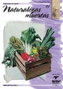 LEONARDO Cuaderno Nº41 Naturalezas Muertas
