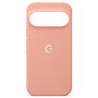 Google Pixel 11 Pro XL Case Canyon CGY4 5B05
