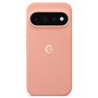 Google Pixel 11 Pro XL Case Canyon CGY4 5B05