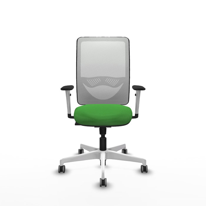 PIQUERAS Y CRESPO Silla de oficina Zulema con mecanismo Sincro, Verde y Blanco PIQUERAS Y CRESPO Silla de oficina Zulema con mecanismo Sincro, Verde y Blanco