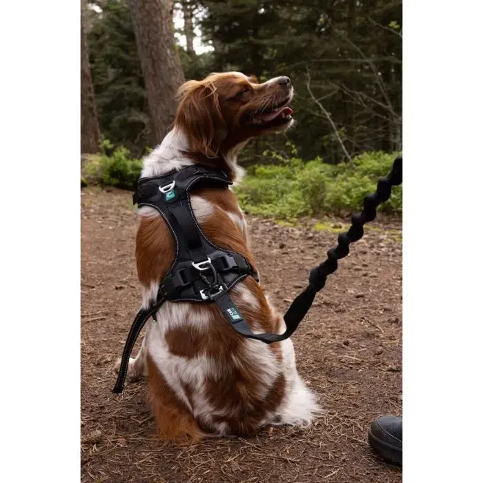 Cani C Gear Arnés para perros SYMBIOZ S Negro / Azul AUC3760402170448