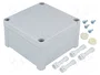 FIBOX TEMPO Carcasa Universal Gris IP65