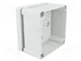 FIBOX TEMPO Carcasa Universal Gris IP65