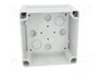 FIBOX TEMPO Carcasa Universal Gris IP65