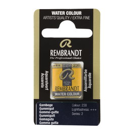 Rembrandt Acuarela Pastilla Gomaguta 238