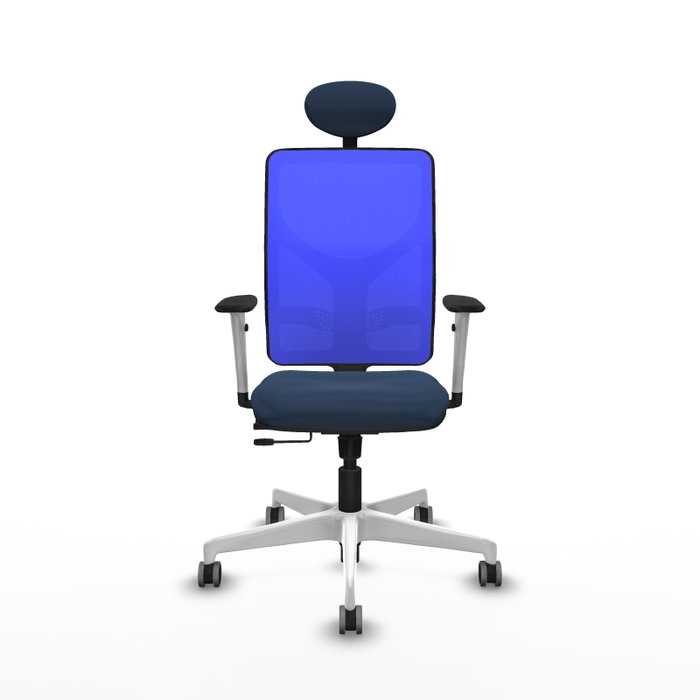 PIQUERAS Y CRESPO Silla de oficina Motilla con mecanismo Sincro/Traslack, Azul marino y Azul PIQUERAS Y CRESPO Silla de oficina Motilla con mecanismo Sincro/Traslack, Azul marino y Azul