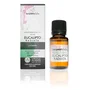 TERPENIC Aceite Esencial Eucalyptus Radiata BIO 10ml