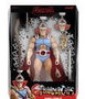 Super7 ThunderCats: Los felinos cósmicos Ultimates Figura Wave 14 - King Lion-O 18 cm
