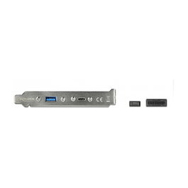 DeLOCK 89934 Adaptador de ranura USB con 1 x USB Type-C™ y 1 x USB Tipo-A, 10 Gbps