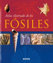 SUSAETA EDICIONES Atlas ilustrado de los Fósiles