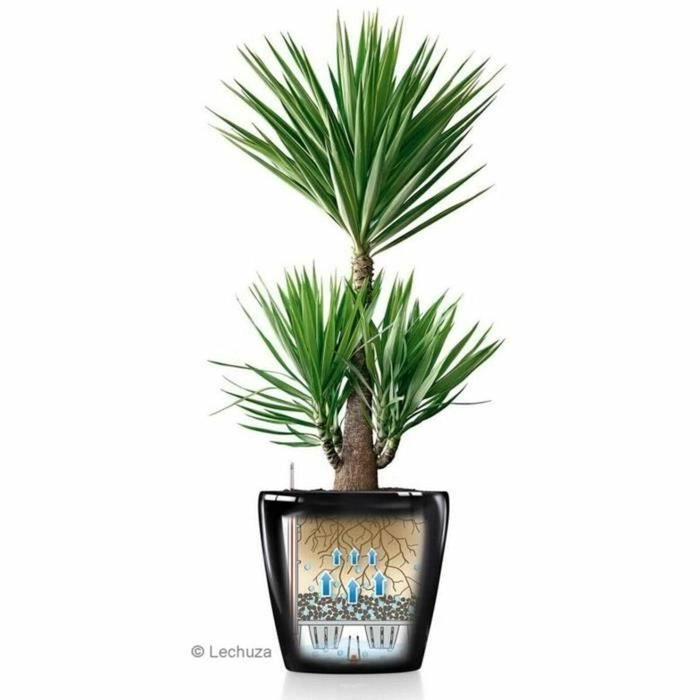 Lechuza Maceta Classico Premium 60 Antracita Metalizado