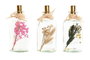 DKD Home Decor Portavelas de Cristal con Flor Seca Surtido