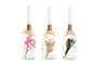 DKD Home Decor Portavelas de Cristal con Flor Seca Surtido