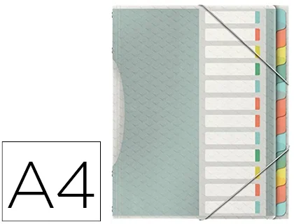 Esselte Carpeta Clasificadora Fuelle Polipropileno Transparente 12 Separadores Colores Cierre Gomas Elásticas DIN A4 325x265x45 mm Esselte Carpeta Clasificadora Fuelle Polipropileno Transparente 12 Separadores Colores Cierre Gomas Elásticas DIN A4 325x265x45 mm