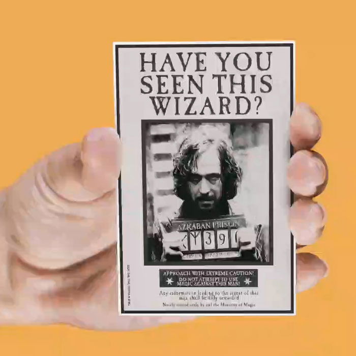 SD TOYS Set 4 Imanes Lenticulares Harry Potter Surtido