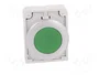 EATON ELECTRIC Interruptor de presión RMQ-Titan verde