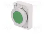 EATON ELECTRIC Interruptor de presión RMQ-Titan verde
