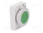 EATON ELECTRIC Interruptor de presión RMQ-Titan verde