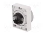 EATON ELECTRIC Interruptor de presión RMQ-Titan verde