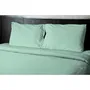 Home Linge Passion HP72095 Sábana Plana Microfibra 82g 240 x 300 cm Verde Agua