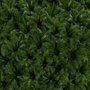 Ixia Bola de Boj Verde PVC 24 x 24 cm (Pack de 2)