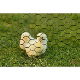 Malla Hexagonal Galvanizada 13 mm - 0.5x3 m - Verde Natural