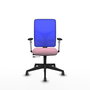 PIQUERAS Y CRESPO Silla de oficina Motilla con mecanismo Sincro/Traslack, Rosa y Azul