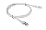 Lanberg PCF5-10CC-0100-S Cable de Red Ethernet 1 m, RJ45 a RJ45, Categoría 5e (Cat5e) FTP/Gris, Conector Macho