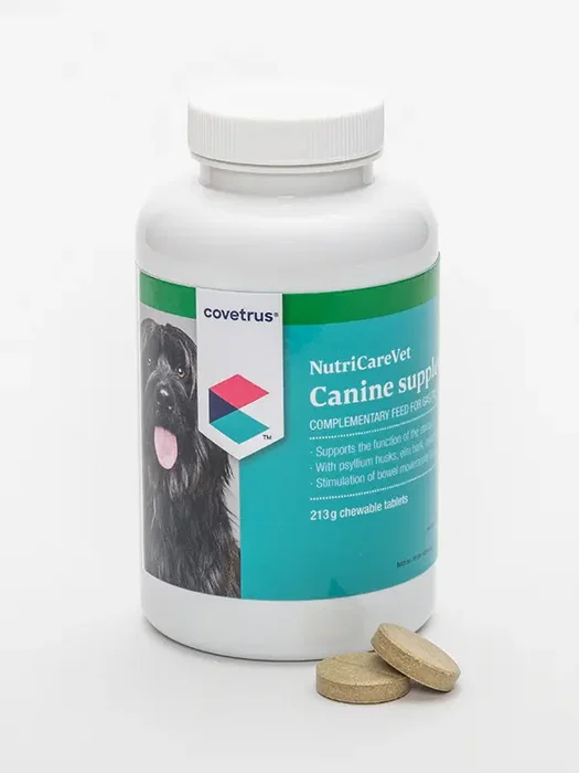 Covetrus Nutricarevet Suplemento Gástrico para Perros 85 Comprimidos Masticables, Apoyo Digestivo con Psyllium, Olmo, Probióticos y Prebióticos para la Función Intestinal Covetrus Nutricarevet Suplemento Gástrico para Perros 85 Comprimidos Masticables, Apoyo Digestivo con Psyllium, Olmo, Probióticos y Prebióticos para la Función Intestinal