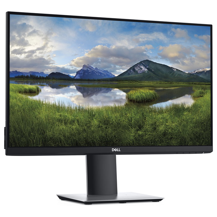 DELL P2419H Monitor LED IPS de 24 Pulgadas Full HD 1920x1080 con Pivote, DisplayPort, HDMI, USB, VGA