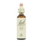 BACH Pine (Pino Silvestre) Nº24 20ml