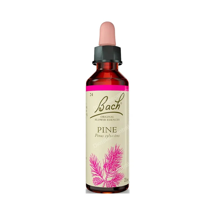 Bach Original Pine Silvestre N°24 Elixir de Flores 20ml Bach Original Pine Silvestre N°24 Elixir de Flores 20ml
