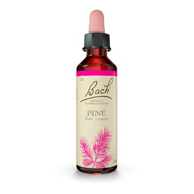 Bach Original Pine (Pino Silvestre) Nº24 20 ml