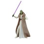 Hasbro Star Wars: The Acolyte Figura de Acción Maestra Jedi Vernestra Rwoh The Black Series Escala 15 cm