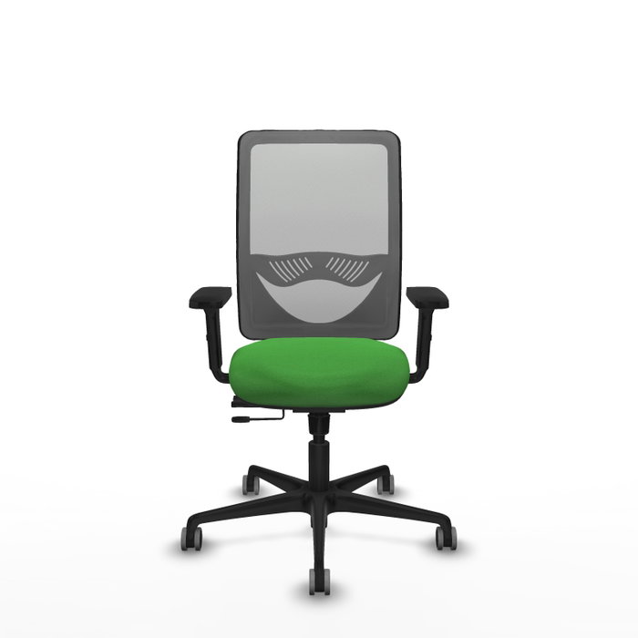 PIQUERAS Y CRESPO Silla de oficina Zulema con mecanismo Sincro/Traslack, Verde y Gris PIQUERAS Y CRESPO Silla de oficina Zulema con mecanismo Sincro/Traslack, Verde y Gris