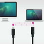 Nanocable Cable Prolongador USB-C 3.2 Gen2x2 20Gbps 100W 2m Negro