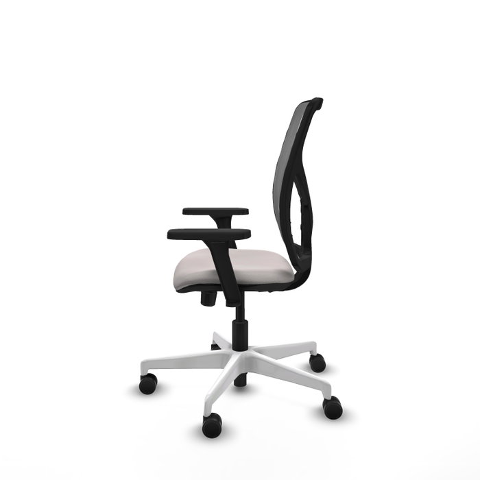 PIQUERAS Y CRESPO Silla de oficina Motilla con mecanismo Sincro/Traslack, Blanco y Gris PIQUERAS Y CRESPO Silla de oficina Motilla con mecanismo Sincro/Traslack, Blanco y Gris