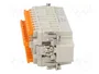 ILME Conector HDC CDSH macho de 27 pines
